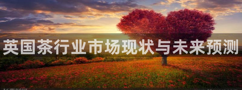 金年会体育查处