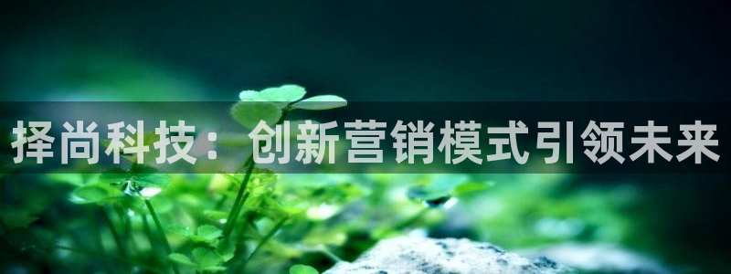 金年会官方网址查询