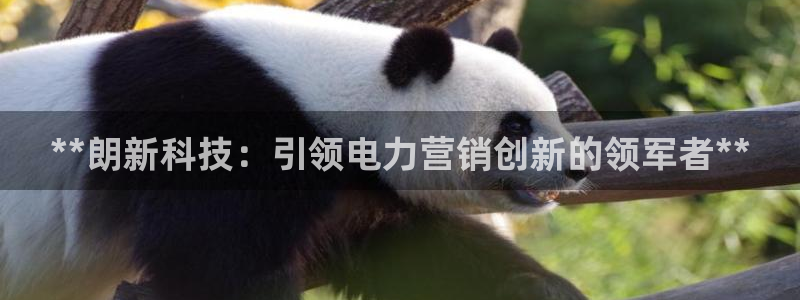 金年会官方在线入口网址大全