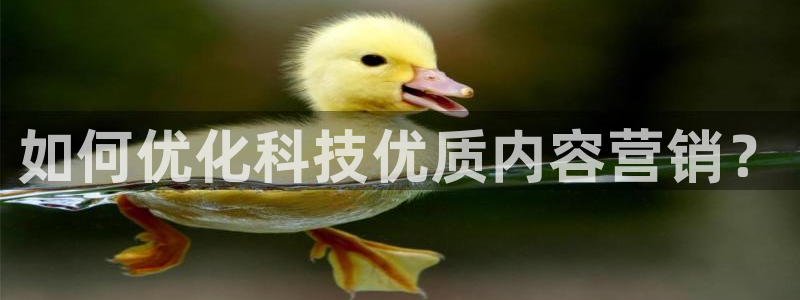 金年会app官方网站是什么