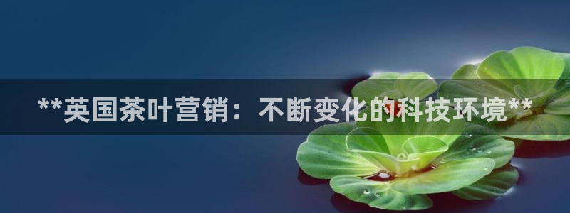 金年会官方登录入口手机版下载