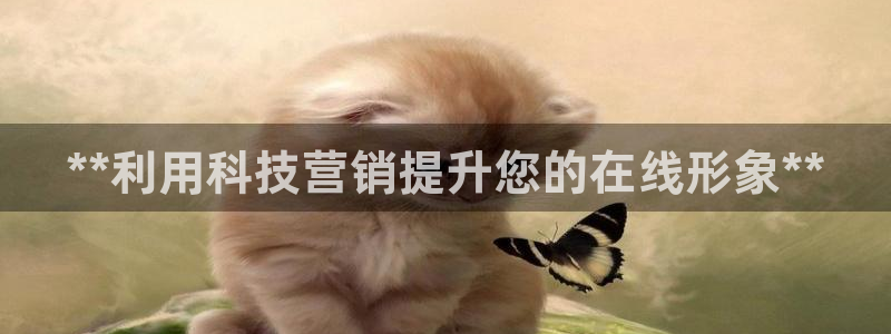 金年会官方在线登录