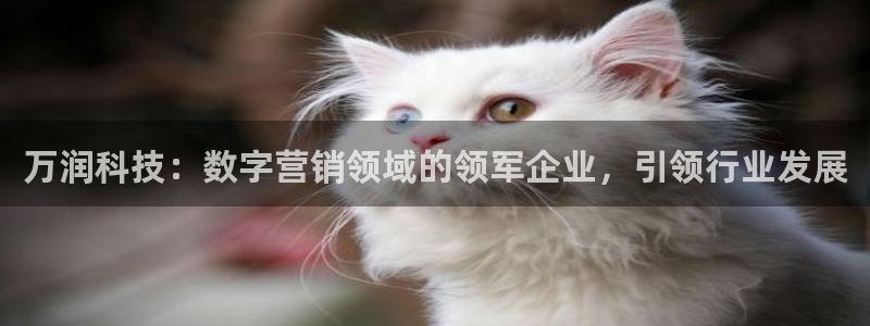 金年会官方app