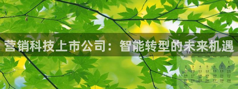 金年会网站下载