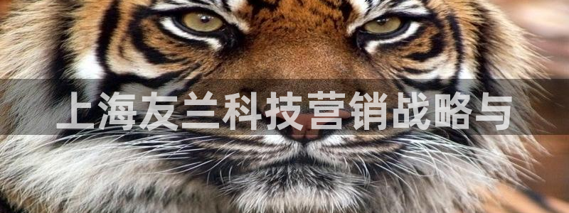 金年会电子官网
