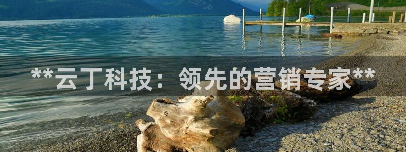 金年会手机版登录