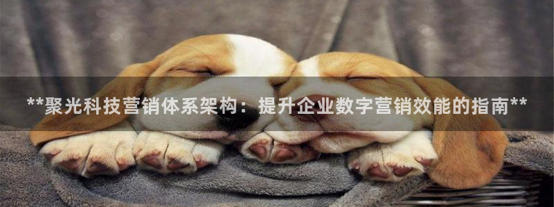 金年会vip打开网络异常怎么办