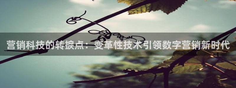 金年会体育官方平台下载