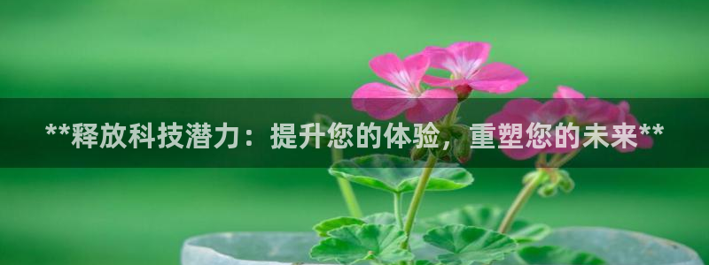 金年会体育app下载官网苹果