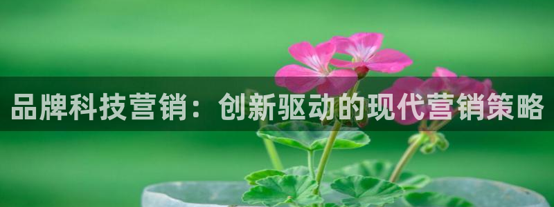 金年会app官网