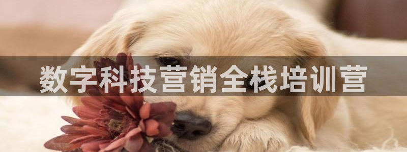 金年会体育下载APP