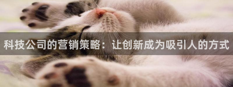 金年会体育app是干嘛的