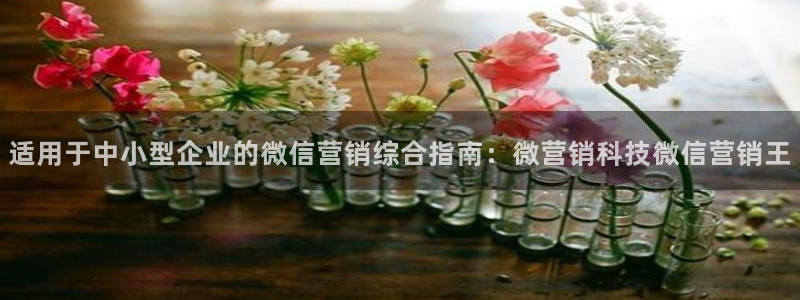 金年会电子游