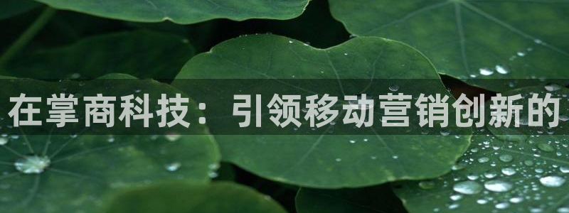 金年会体育平台官网下载app