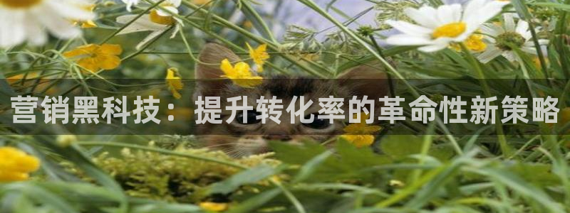 金年会体育中心