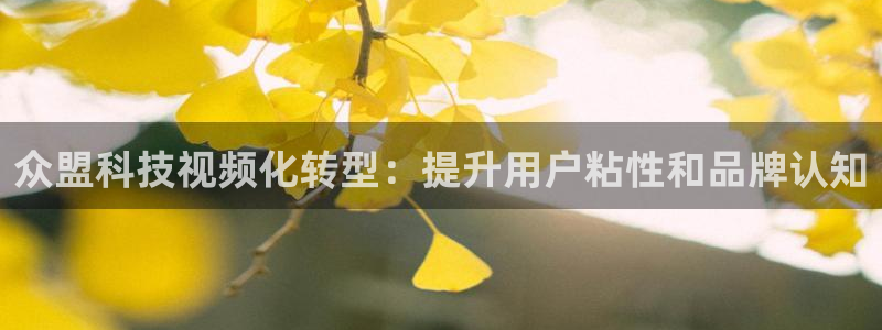 金年会网站多少