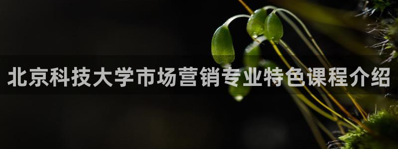 金年会网站拒绝出款怎么解决?