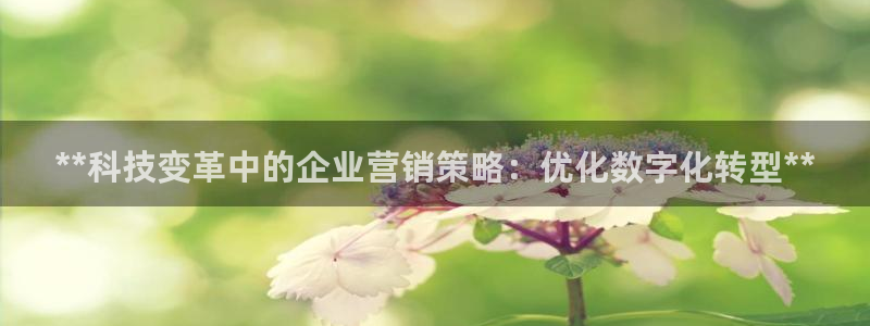 金年会官方在线入口网址是什么