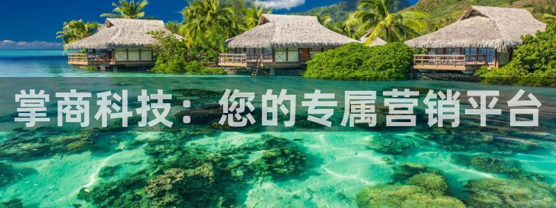 金年会官方入口网站下载