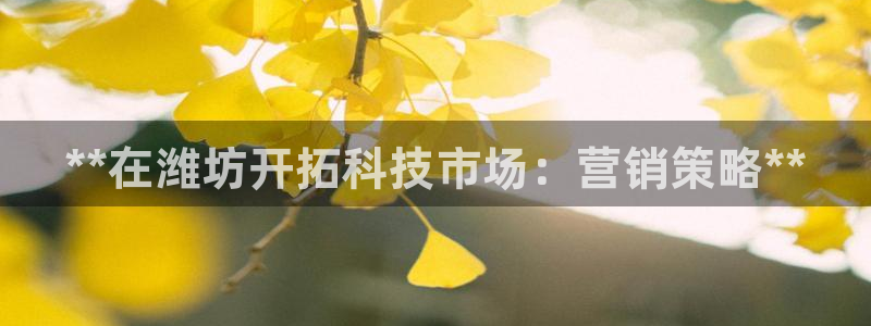 金年会官方app下载安装