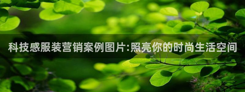 金年会官方在线入口网址是什么