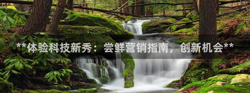 金年会体育APP官方网站