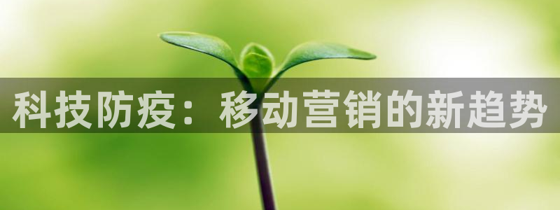 金年会是什么平台