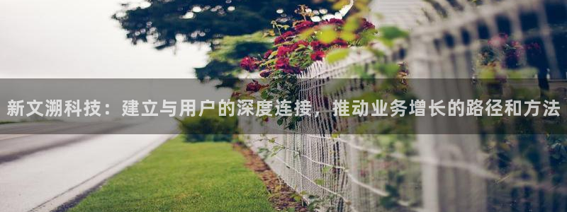 金年会体育app