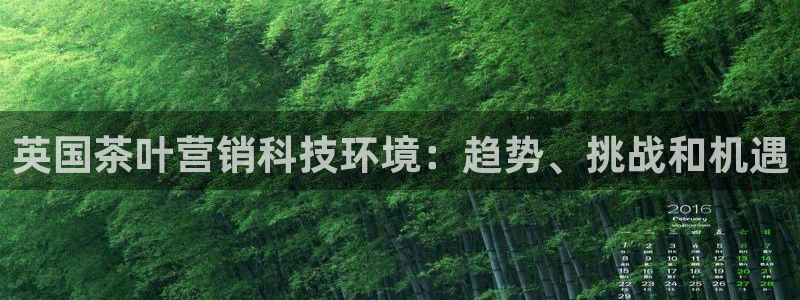 金年会app官方网站