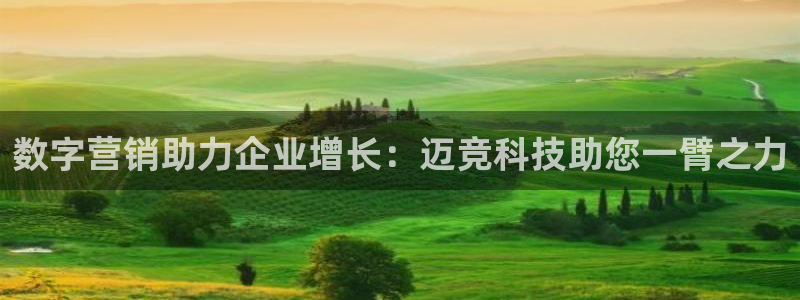 金年会金字招牌诚信