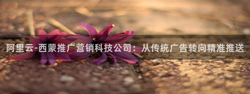 金年会官方娱乐app下载安卓