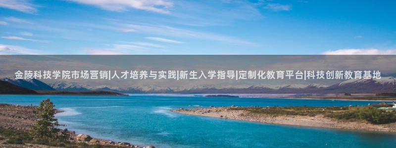 金年会app官方网站入口在哪