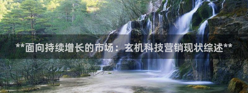 金年会平台怎么样
