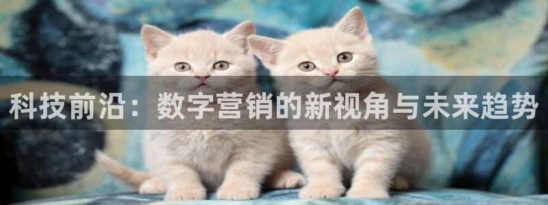 金年会体育