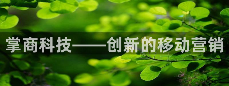金年会