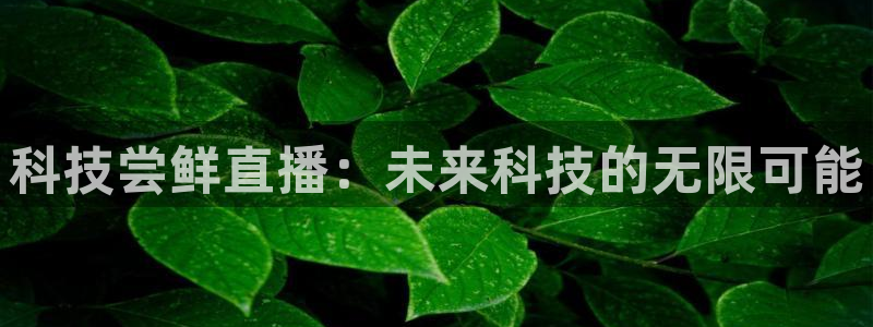 金年会网站不给出款怎么办