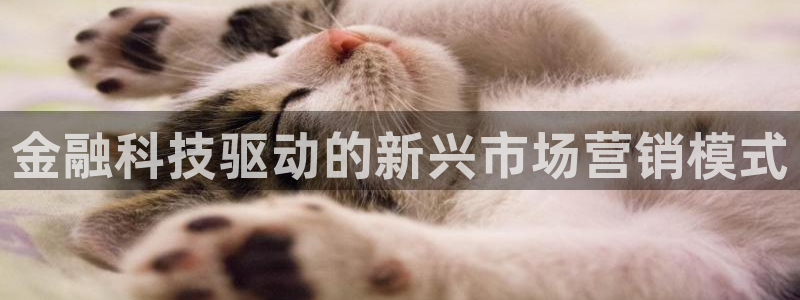 金年会app官方网站是什么