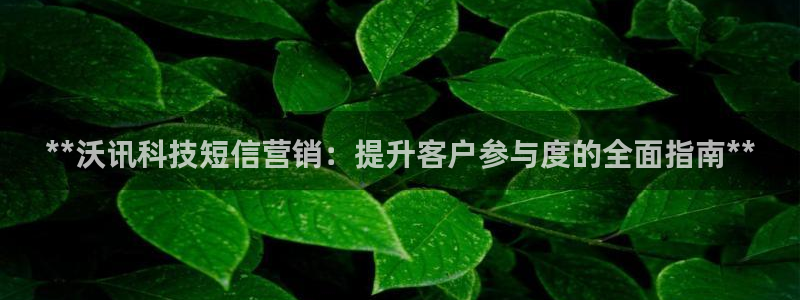 金年会网站出款被要求认证怎么办?