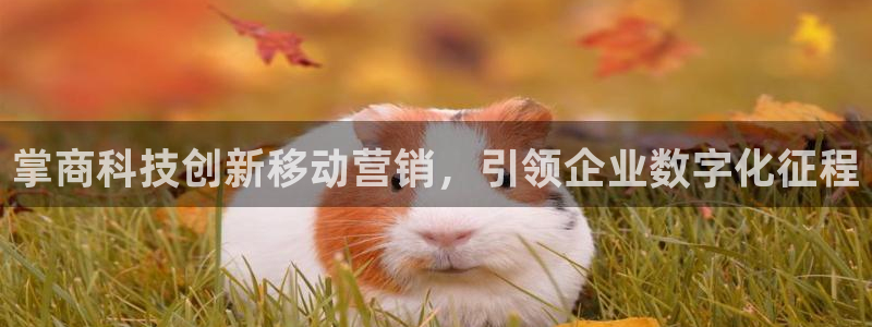 金年会体育买球
