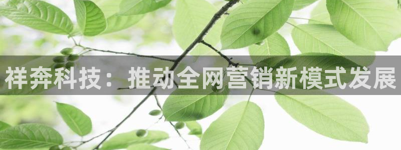 金年会信誉至上 | 金字招牌