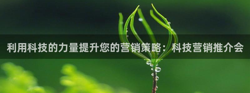 金年会网站稳不稳