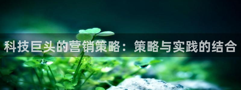 金年会手机版怎么下载