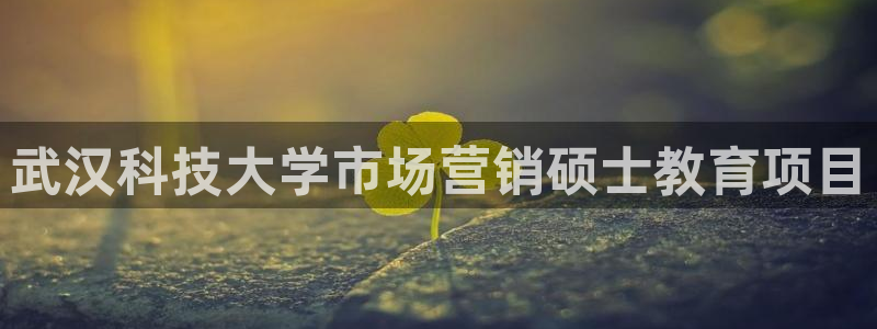 金年会体育app最新官网下载安卓