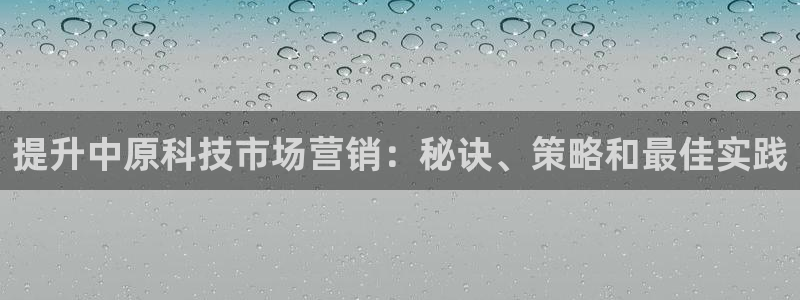 金年会网站