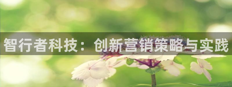 金年会官方网站入口