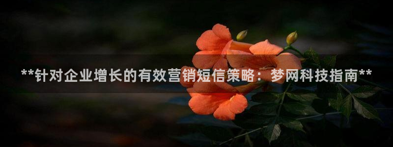 金年会体育手机app下载官网最新版