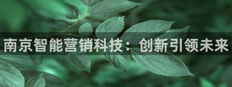 jinnianhui金年会下载