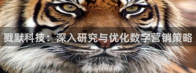 金年会体育官方app下载安卓