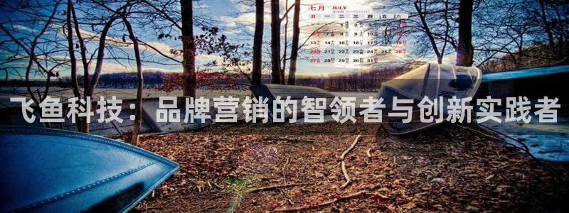 金年会下载