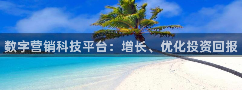 金年会信誉至上是什么意思